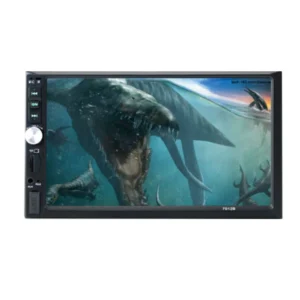 Car Display Screen